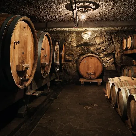 Ferjancic Estate Alloggio in famiglia