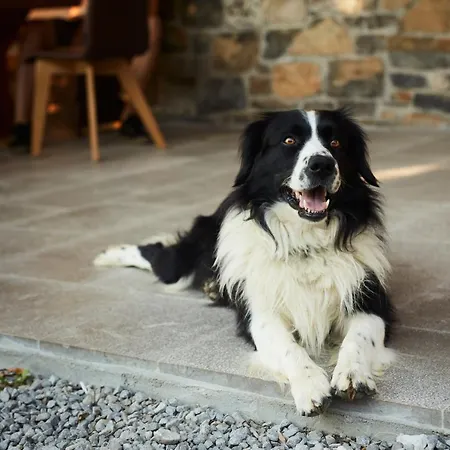 Alloggio in famiglia Ferjancic Estate *