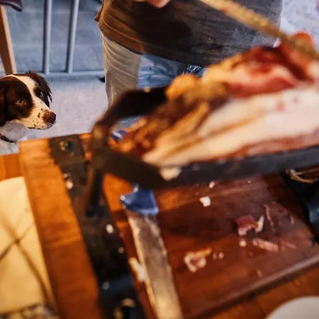 Ferjancic Estate Проживание в семье *