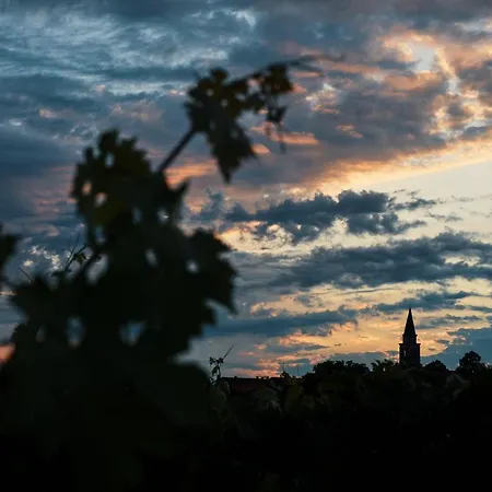 Pansiyon Ferjancic Estate Ajdovščina