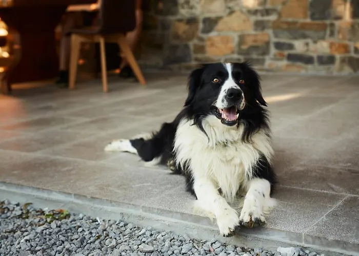 Pansiyon Ferjancic Estate *