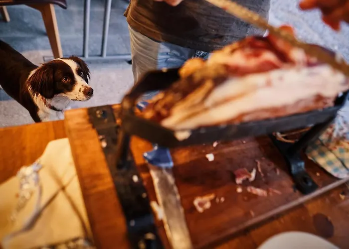 Ferjancic Estate Homestay *