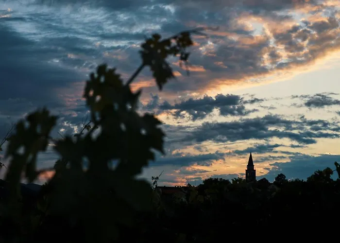 Kwatera prywatna Ferjancic Estate Ajdovščina